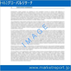 市場と産業調査レポートのイメージ